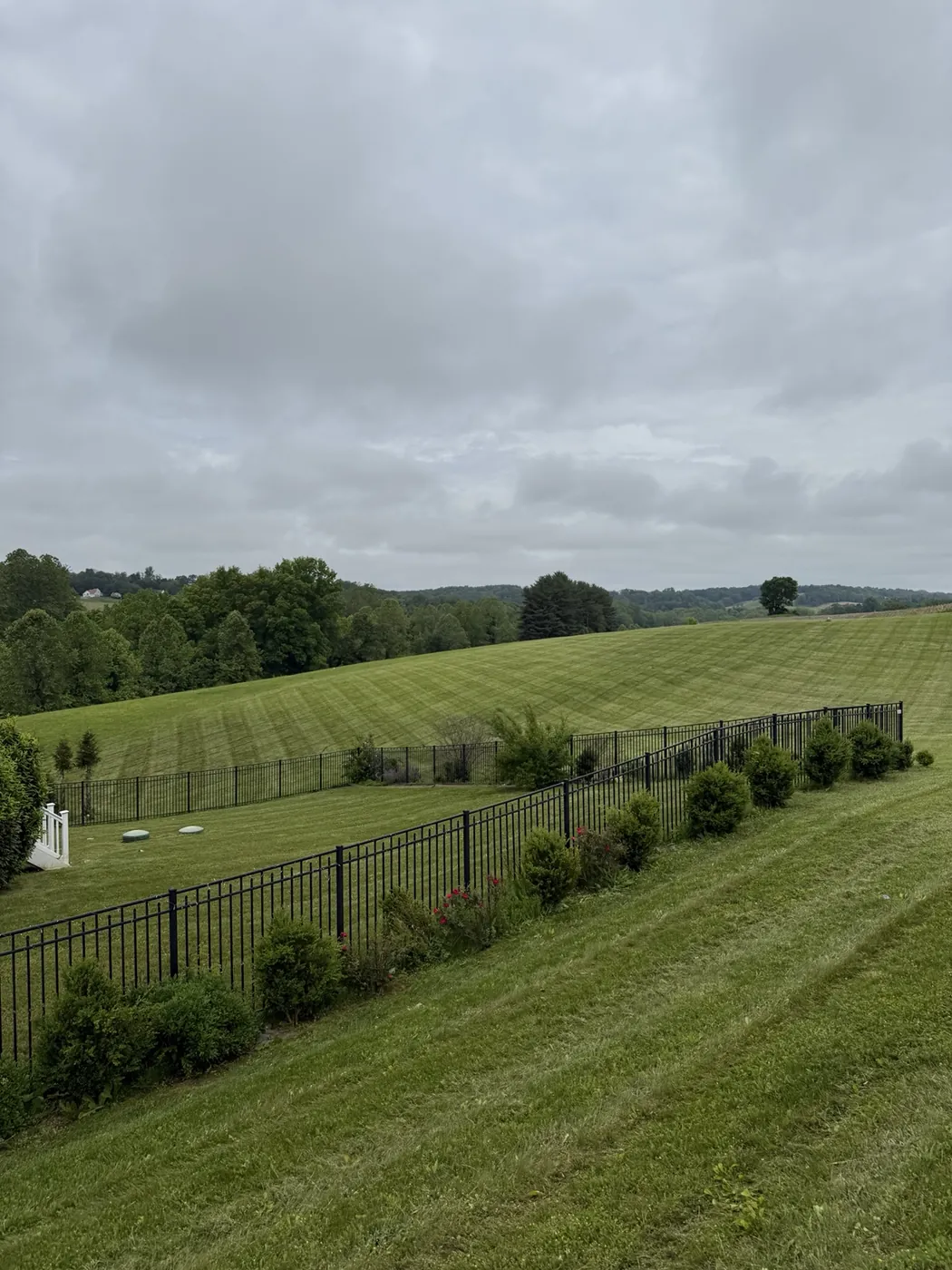 Striped lawn