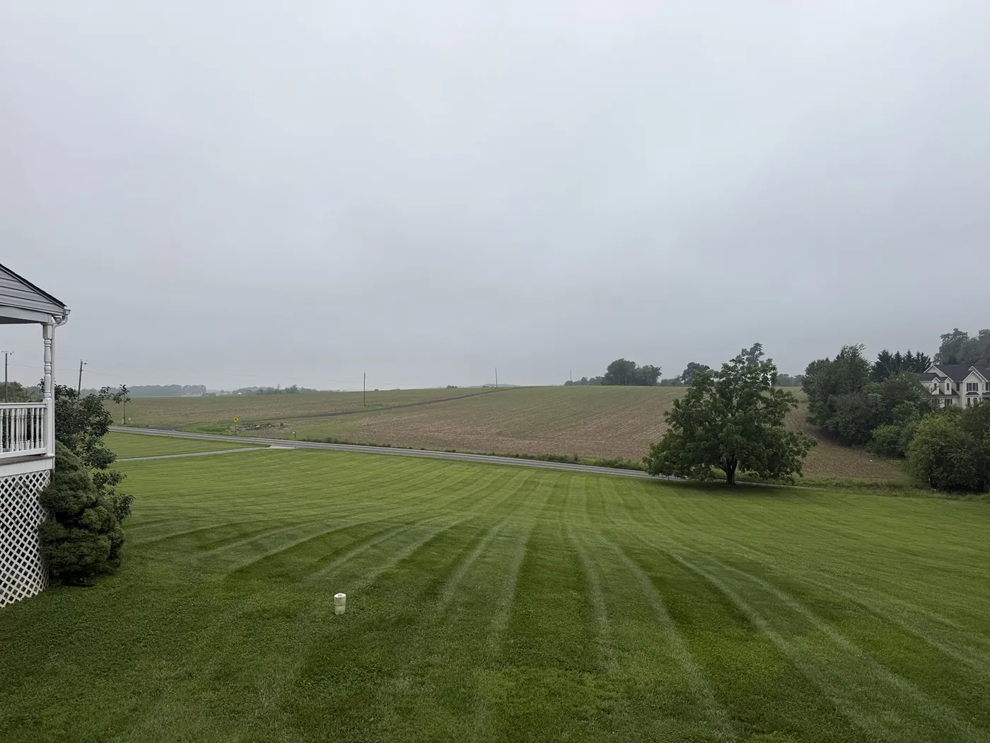Striped lawn