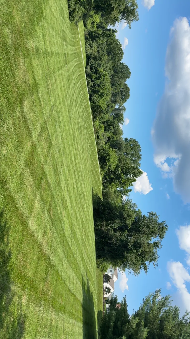 Large striped lawn